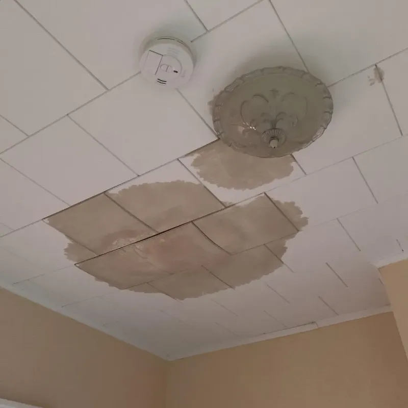 Ceiling Water Damage Repair in Rockwell, IA