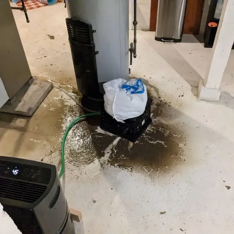 Sewage Backup Cleanup Service in Rockwell, IA
